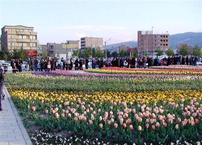 بیش از 3 میلیون بوته گل برای نوروز در شهرستان ارومیه کاشته می گردد
