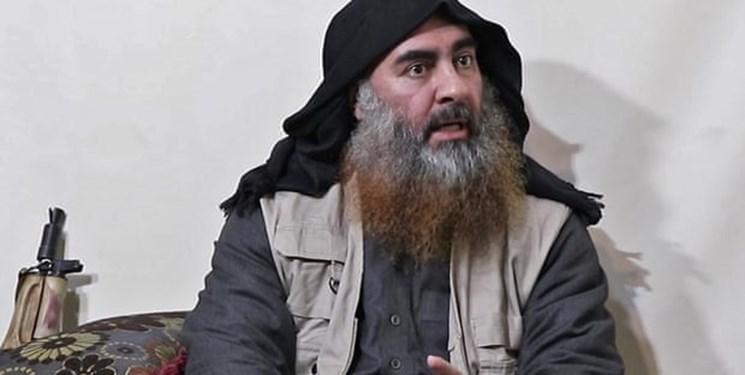 آمریکا البغدادی را از بیم لو رفتن اسرار داعش کشت