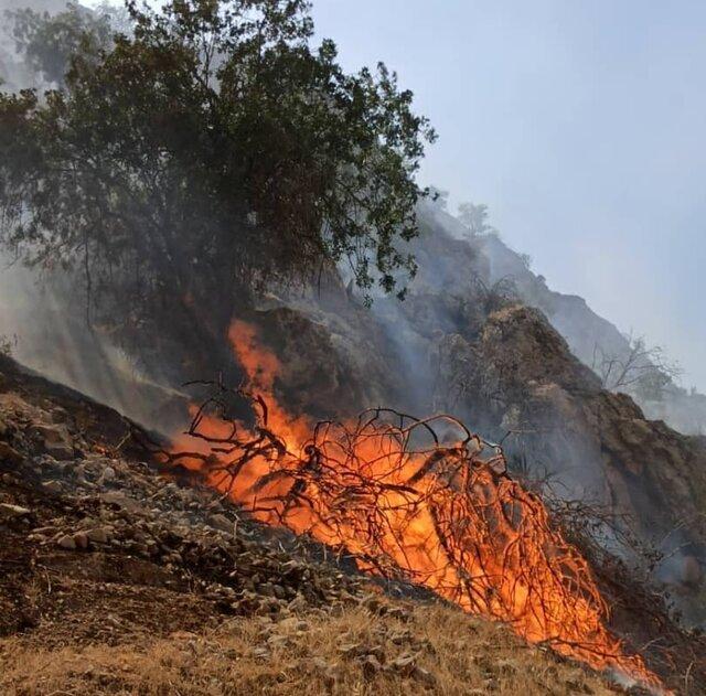 آتش سوزی جنگل های دیل گچساران همچنان ادامه دارد
