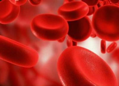 عملکرد گلبول های قرمز خون