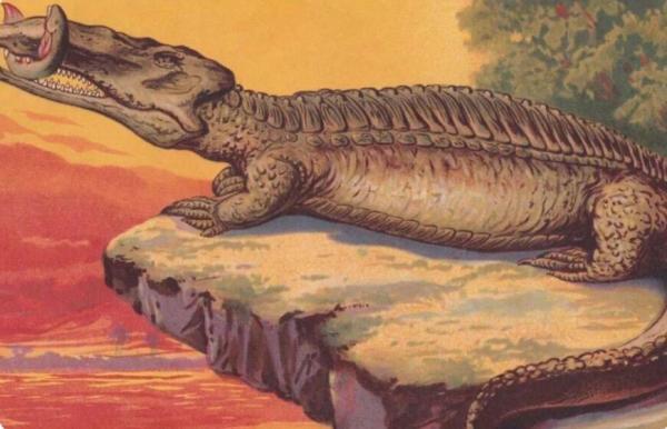 کشف تمساح غول پیکر باستانی در برزیل (تور برزیل)